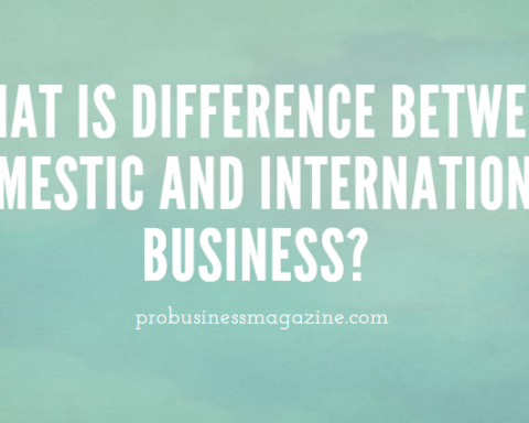 What is difference between domestic and international business?