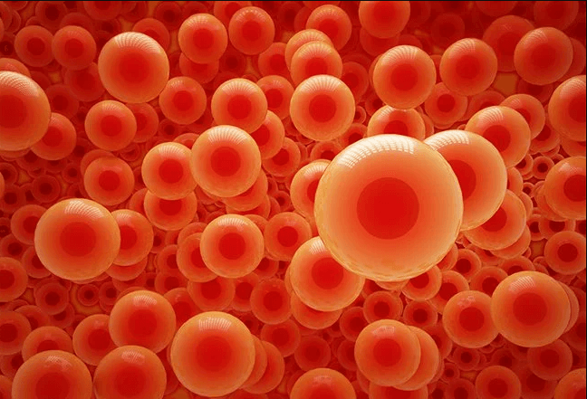 Evaluating ways to increase Hemoglobin in Human Body