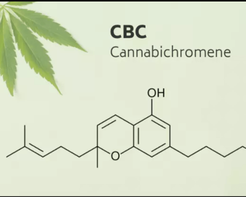 Cannabichromene Comes in What Forms That You Can Use?